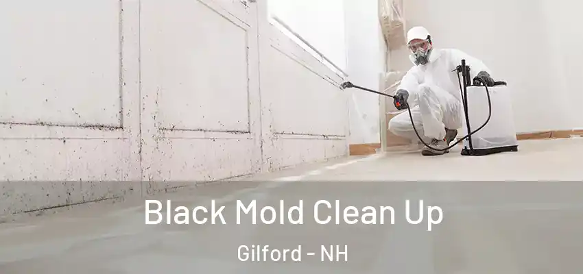  Black Mold Clean Up Gilford - NH