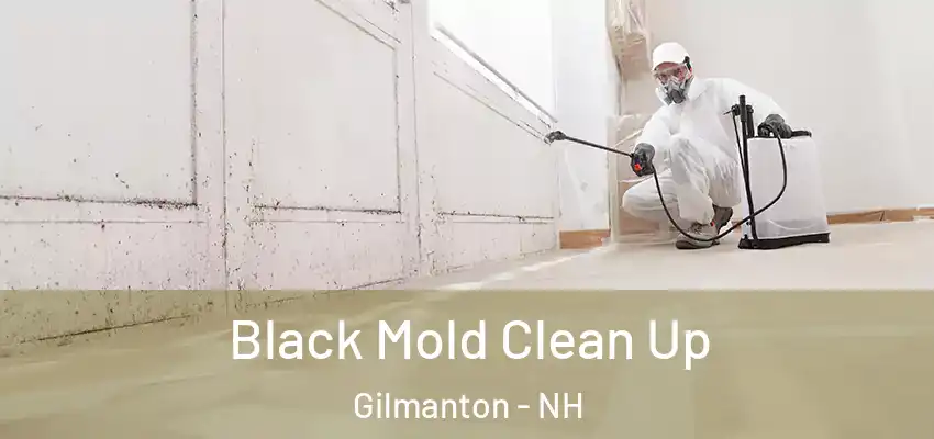 Black Mold Clean Up Gilmanton - NH