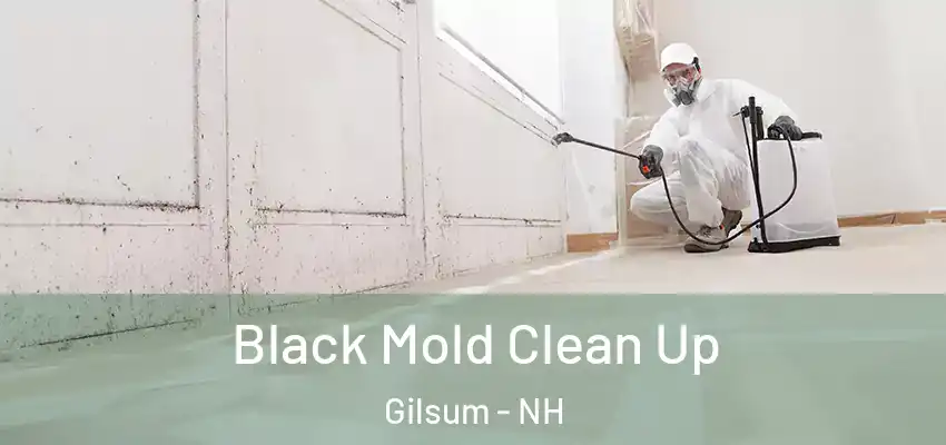  Black Mold Clean Up Gilsum - NH