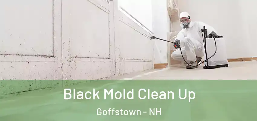 Black Mold Clean Up Goffstown - NH