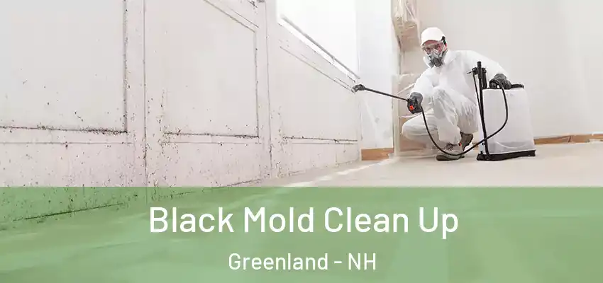  Black Mold Clean Up Greenland - NH