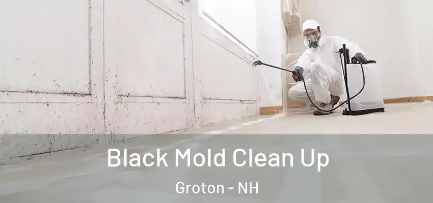 Black Mold Clean Up Groton - NH