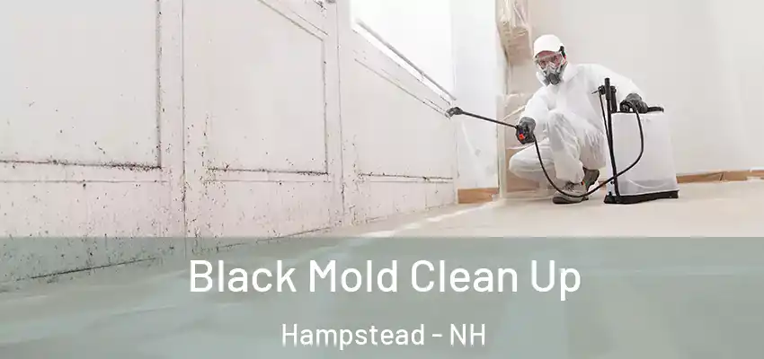  Black Mold Clean Up Hampstead - NH