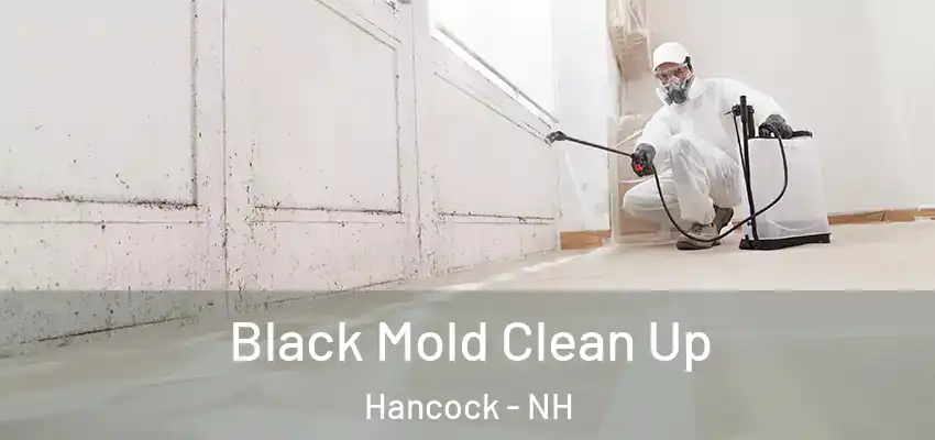 Black Mold Clean Up Hancock - NH