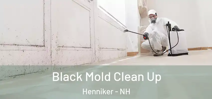  Black Mold Clean Up Henniker - NH