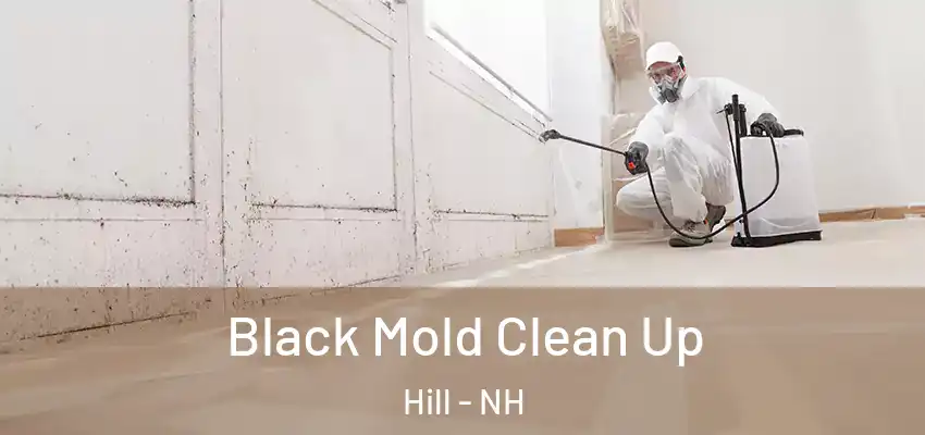 Black Mold Clean Up Hill - NH