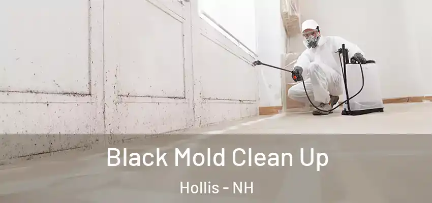 Black Mold Clean Up Hollis - NH