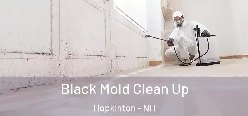  Black Mold Clean Up Hopkinton - NH