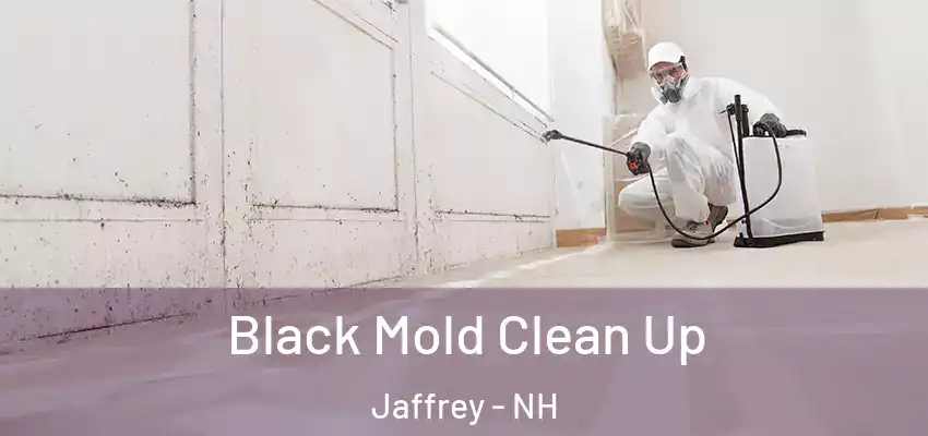  Black Mold Clean Up Jaffrey - NH