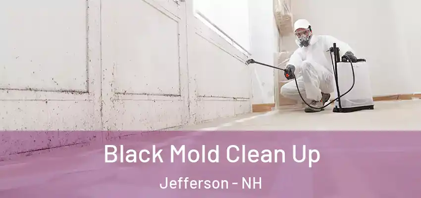 Black Mold Clean Up Jefferson - NH