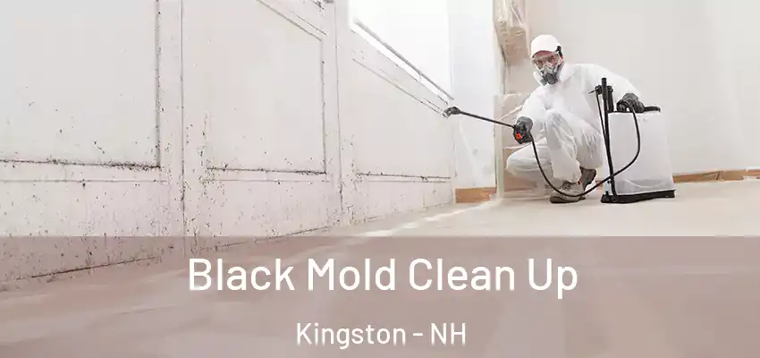 Black Mold Clean Up Kingston - NH