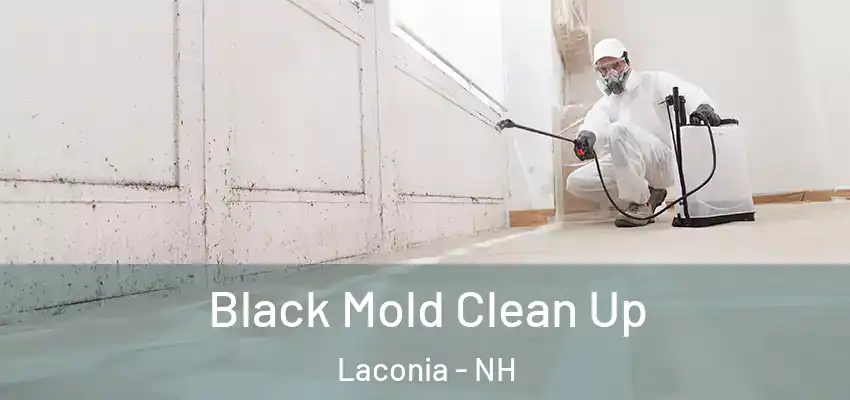 Black Mold Clean Up Laconia - NH