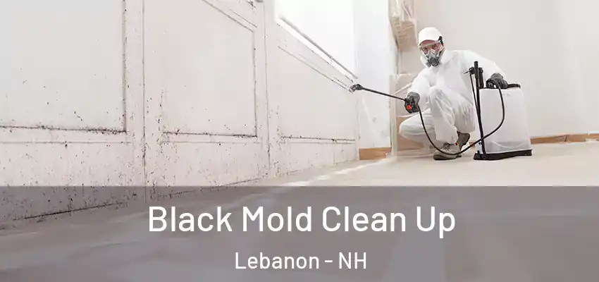  Black Mold Clean Up Lebanon - NH
