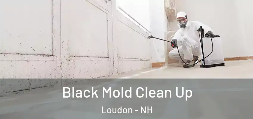  Black Mold Clean Up Loudon - NH