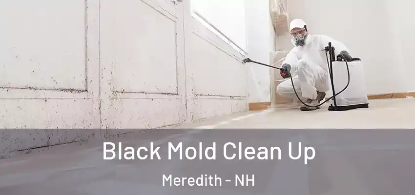Black Mold Clean Up Meredith - NH