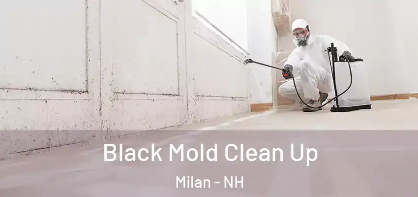 Black Mold Clean Up Milan - NH