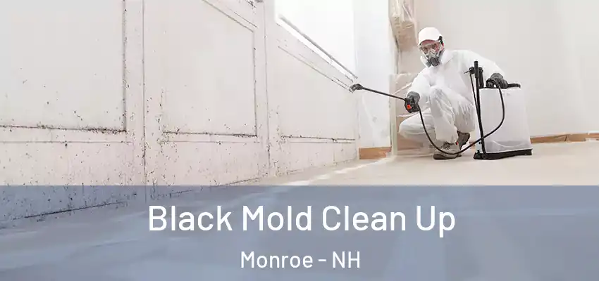  Black Mold Clean Up Monroe - NH
