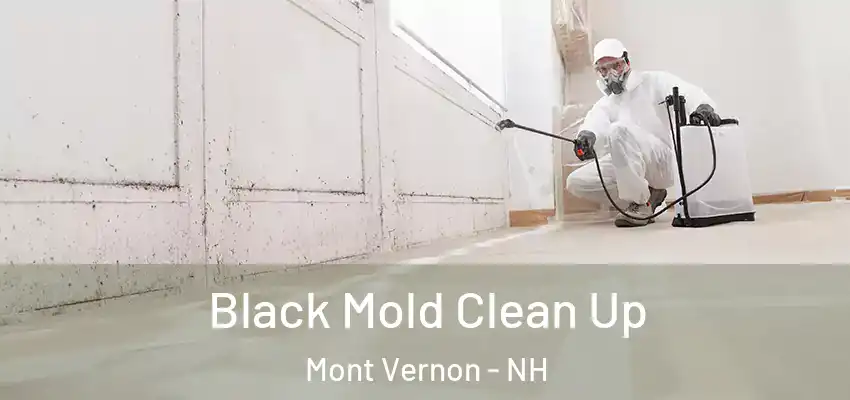  Black Mold Clean Up Mont Vernon - NH