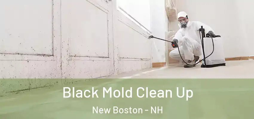  Black Mold Clean Up New Boston - NH