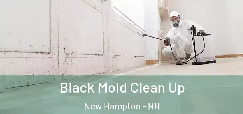  Black Mold Clean Up New Hampton - NH
