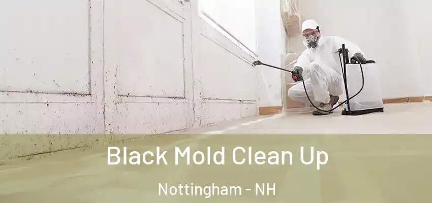 Black Mold Clean Up Nottingham - NH