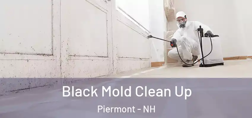 Black Mold Clean Up Piermont - NH