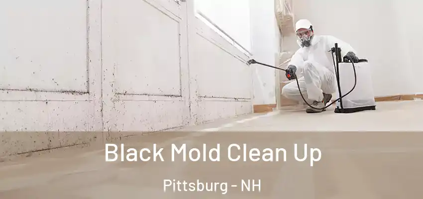 Black Mold Clean Up Pittsburg - NH
