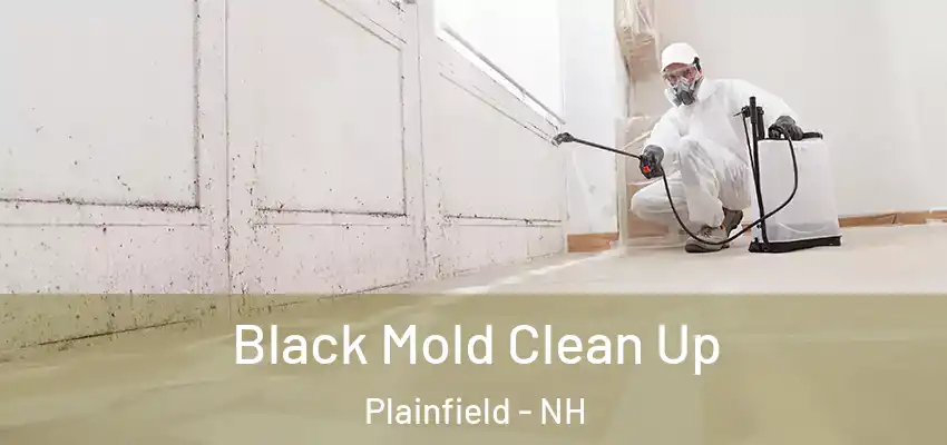 Black Mold Clean Up Plainfield - NH