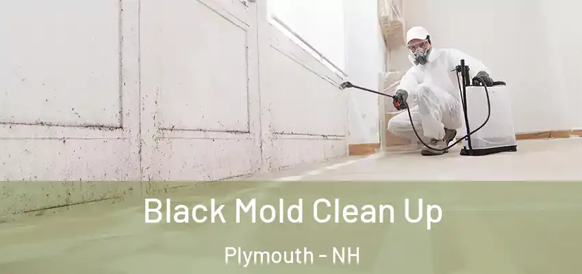 Black Mold Clean Up Plymouth - NH