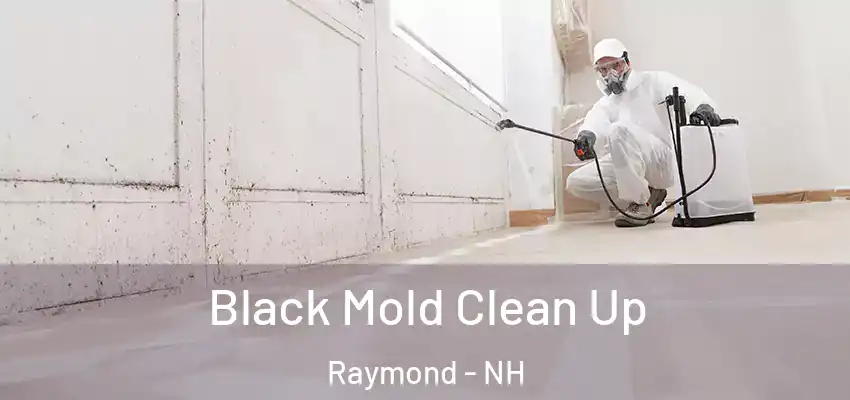  Black Mold Clean Up Raymond - NH