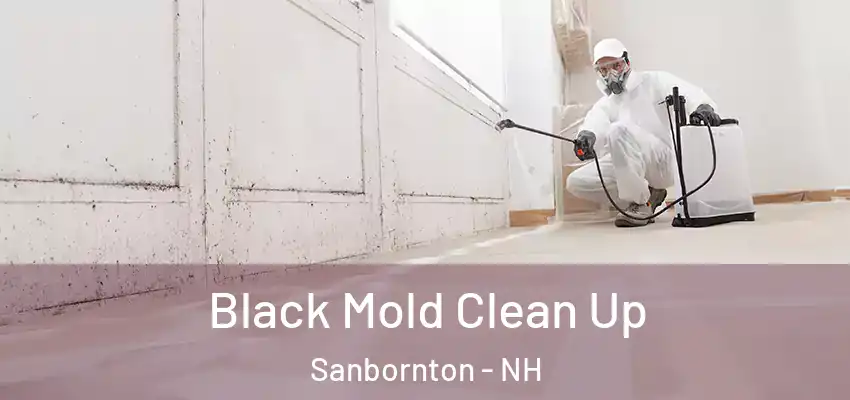 Black Mold Clean Up Sanbornton - NH