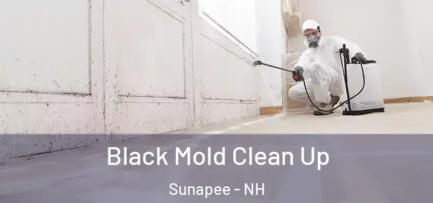  Black Mold Clean Up Sunapee - NH