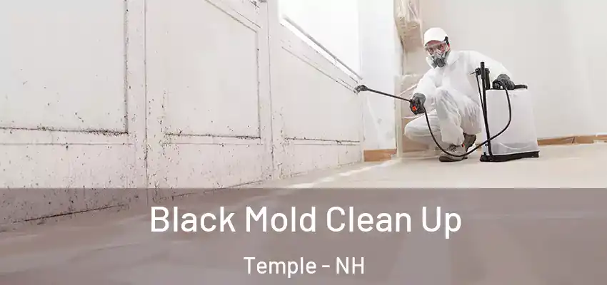  Black Mold Clean Up Temple - NH