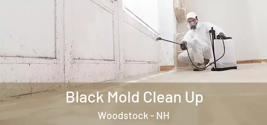 Black Mold Clean Up Woodstock - NH