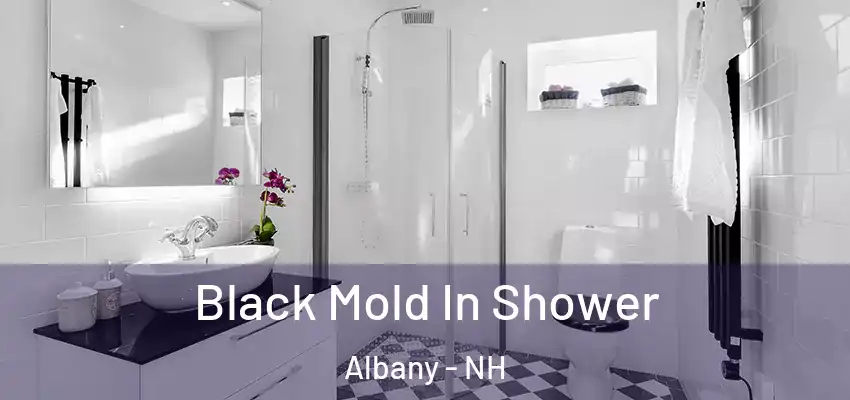 Black Mold In Shower Albany - NH