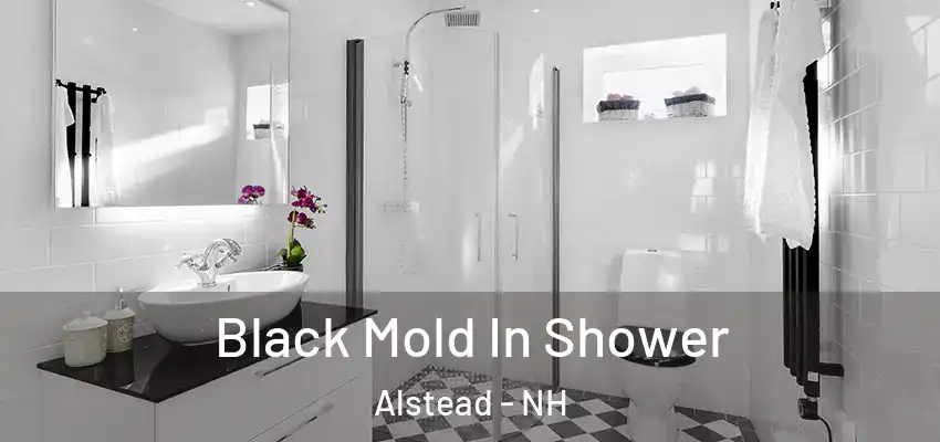 Black Mold In Shower Alstead - NH