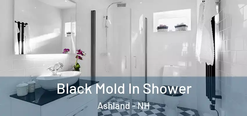 Black Mold In Shower Ashland - NH