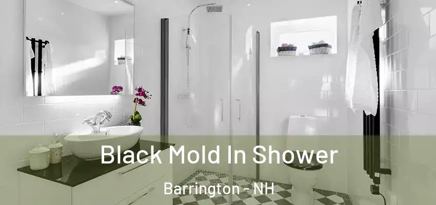  Black Mold In Shower Barrington - NH