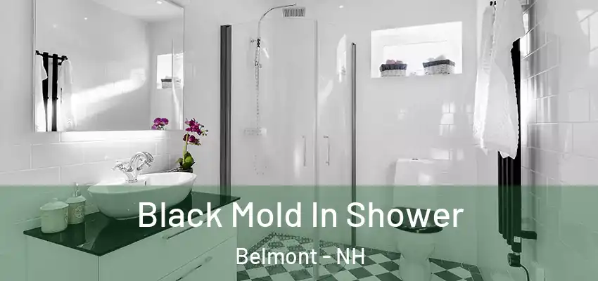  Black Mold In Shower Belmont - NH