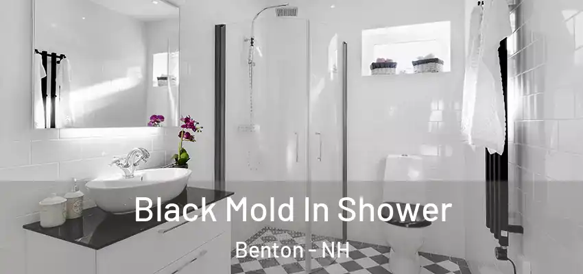Black Mold In Shower Benton - NH