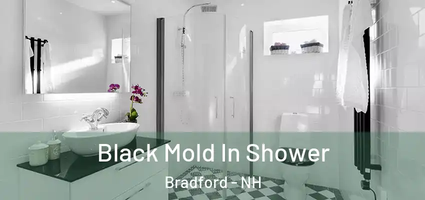  Black Mold In Shower Bradford - NH