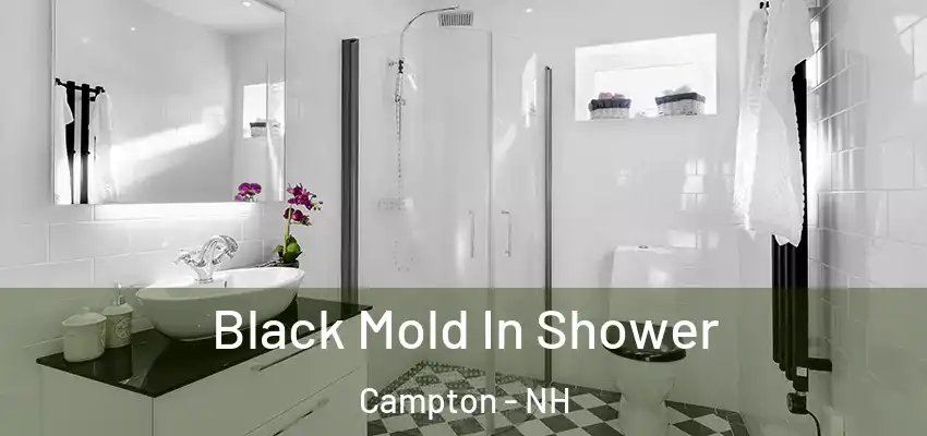 Black Mold In Shower Campton - NH