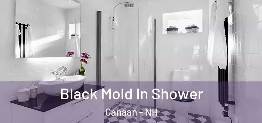 Black Mold In Shower Canaan - NH
