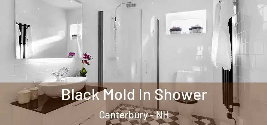  Black Mold In Shower Canterbury - NH