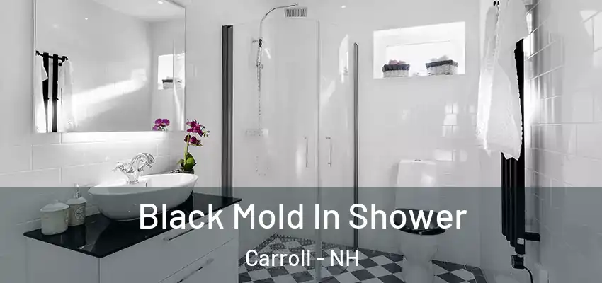 Black Mold In Shower Carroll - NH