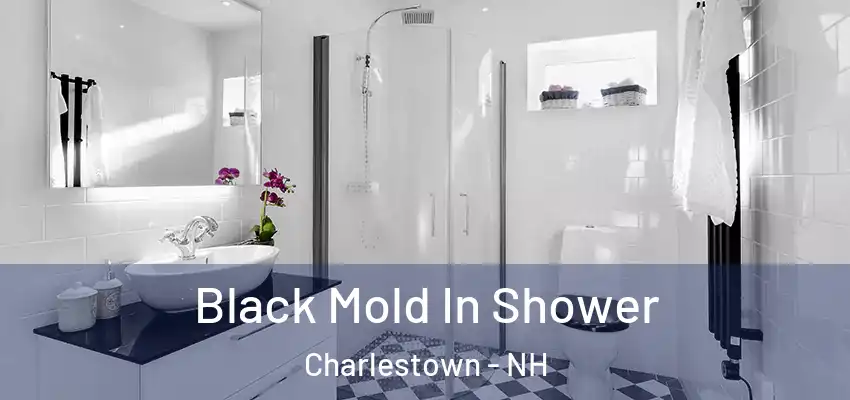  Black Mold In Shower Charlestown - NH