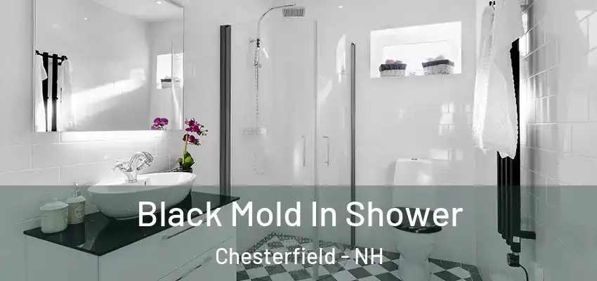  Black Mold In Shower Chesterfield - NH