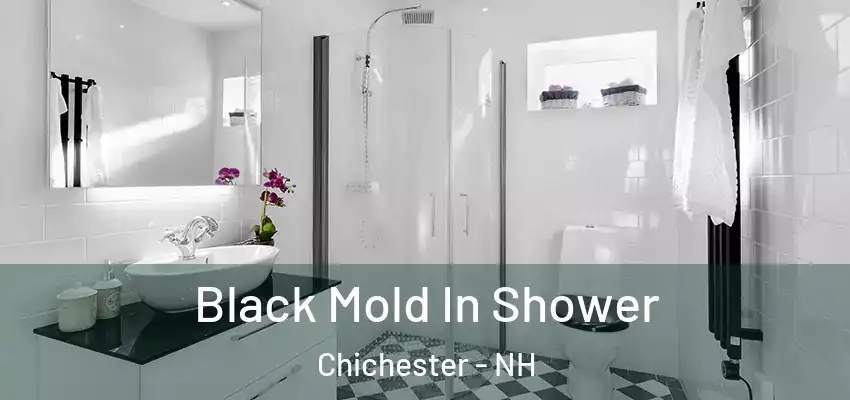  Black Mold In Shower Chichester - NH