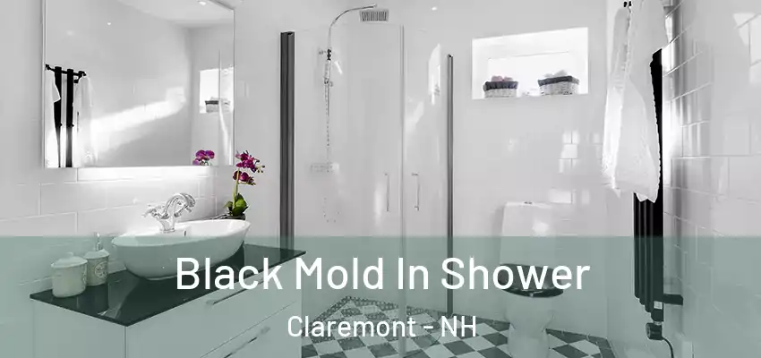  Black Mold In Shower Claremont - NH