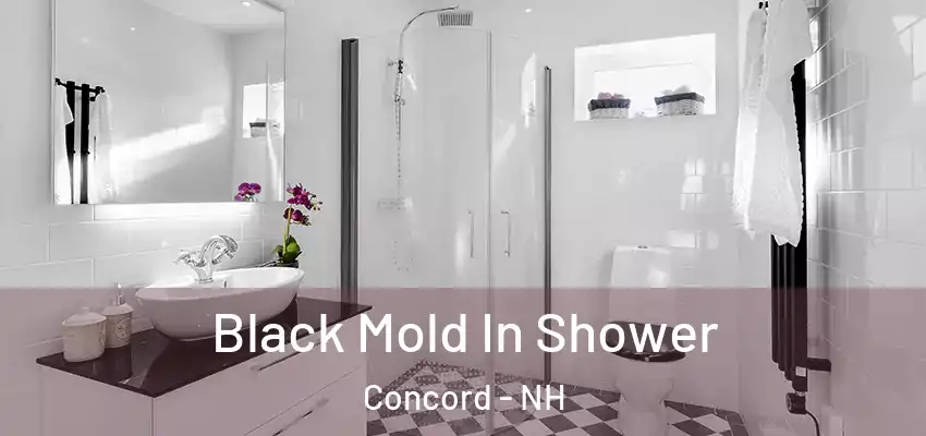  Black Mold In Shower Concord - NH
